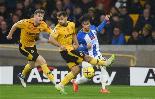 Loups contre Brighton